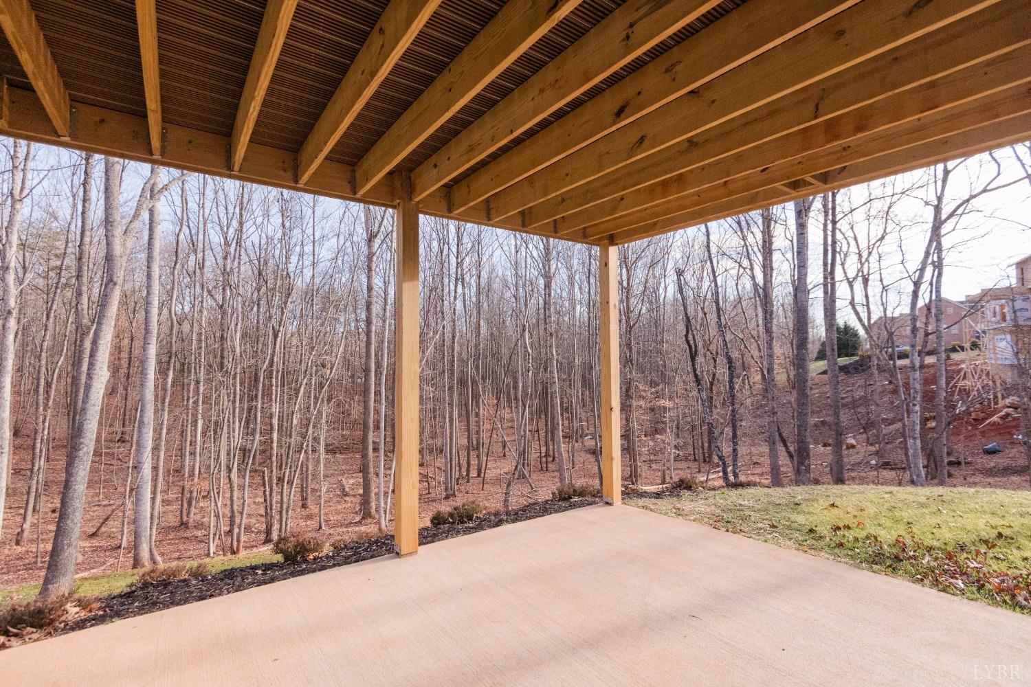 1401 Smartview Lane Forest, VA 24551 - Photo 46 of 46 a view of a backyard of a house