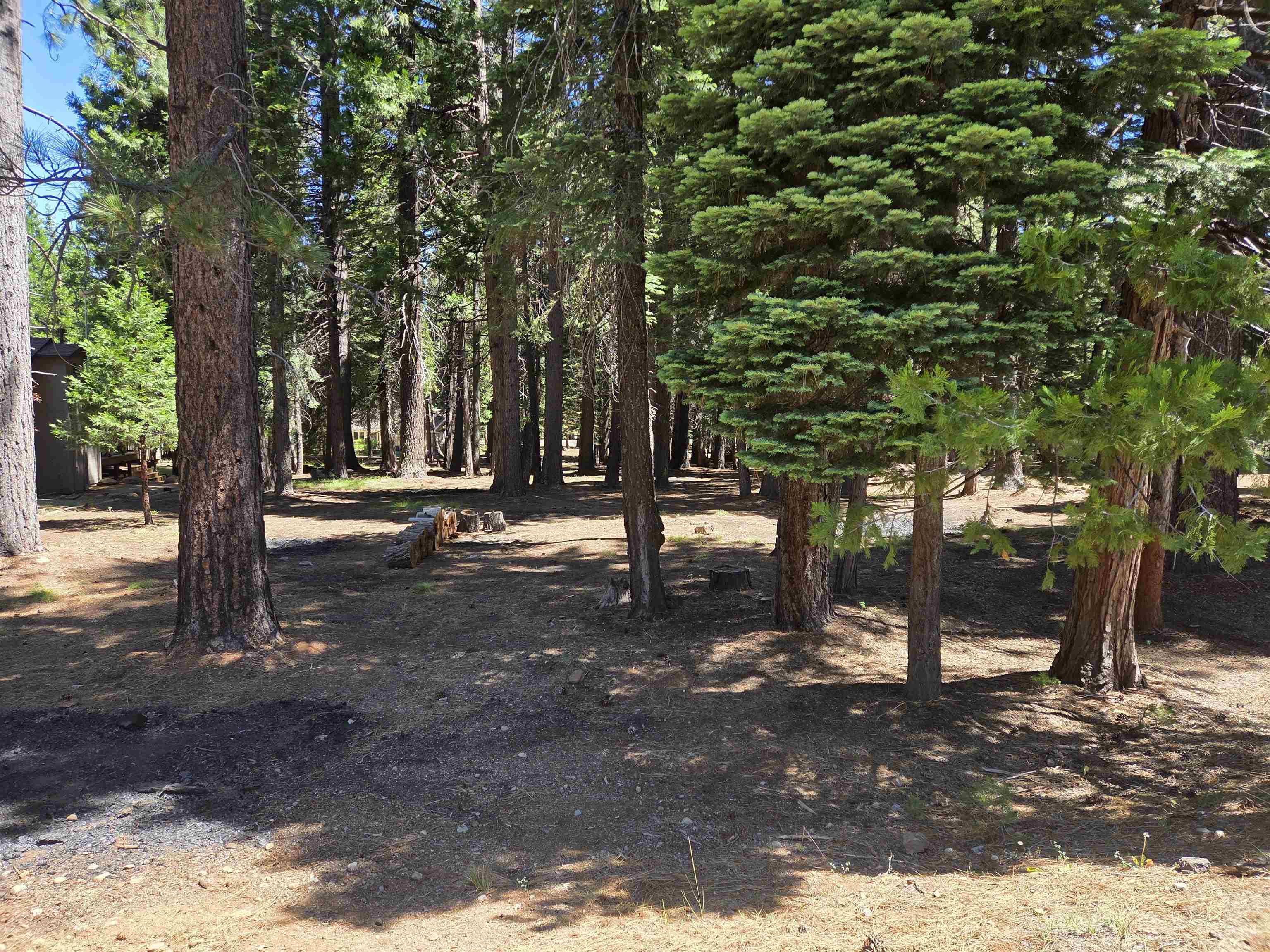 307 Racoon Trail Lake Almanor West, CA 96020 - Photo 6 of 9