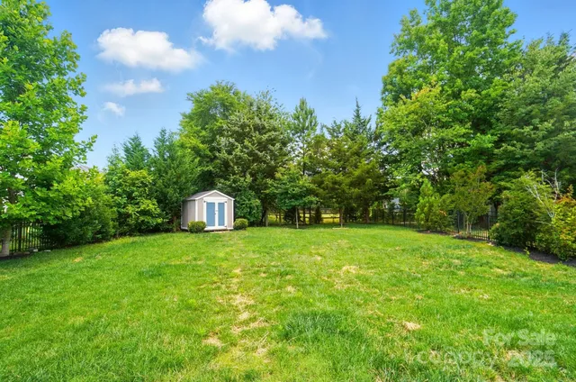 a view of a big yard with plants and large trees
