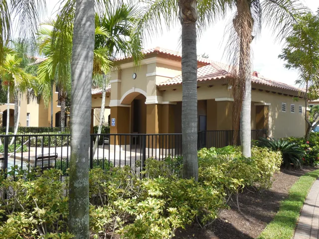 a garden with palm trees