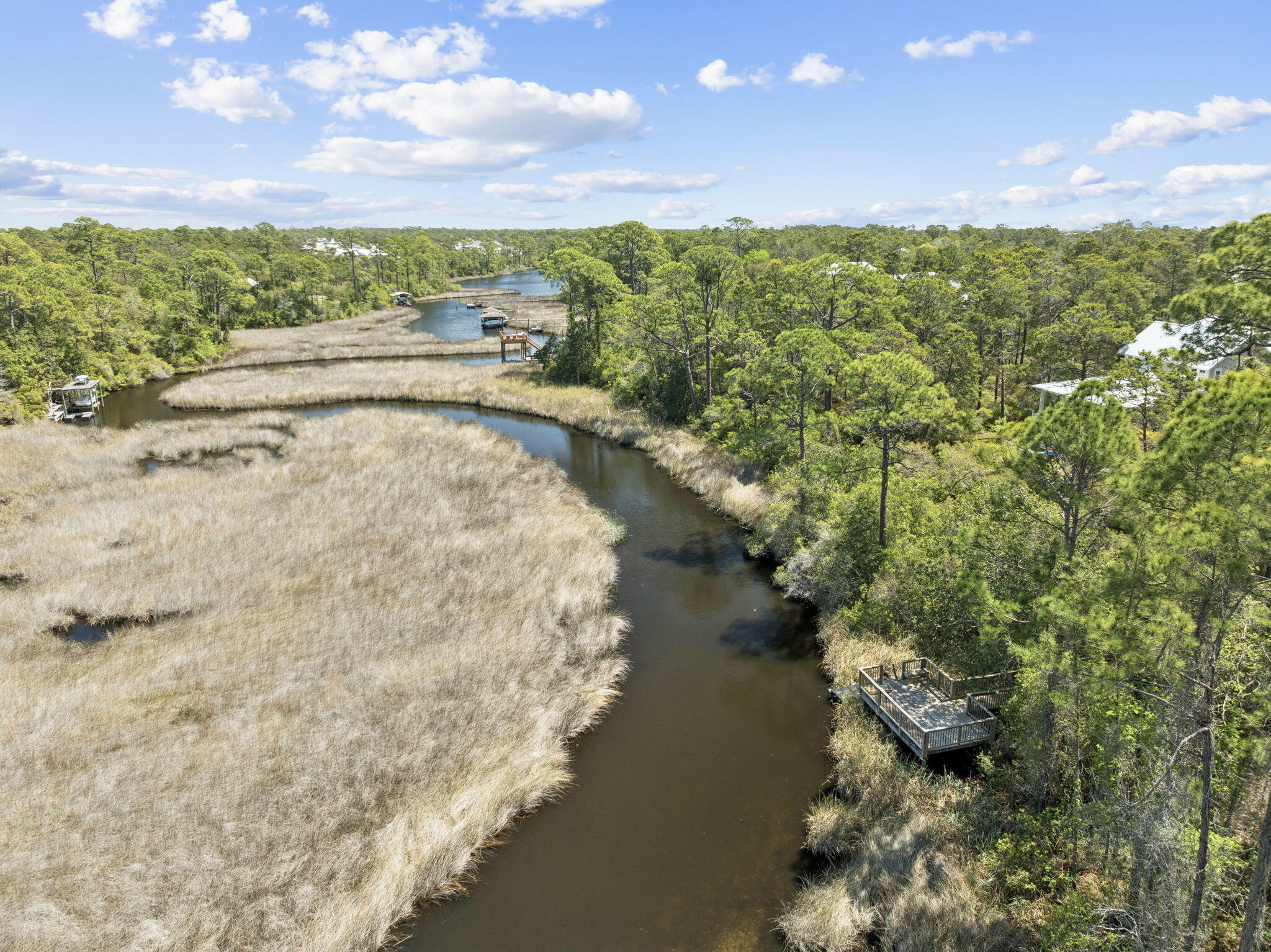 8 East Willow Mist Rd Inlet Beach Inlet Beach, FL 32461 - Photo 36 of 45 a view of lake