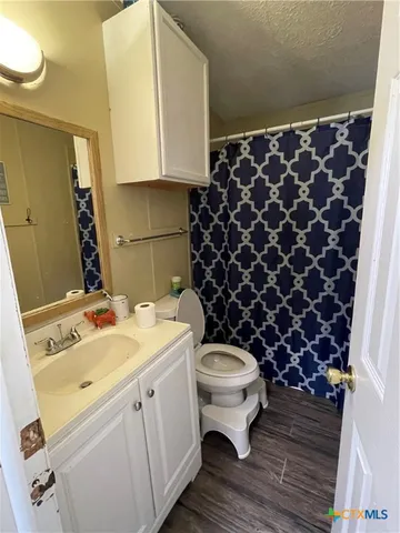 a bathroom with a sink toilet and mirror