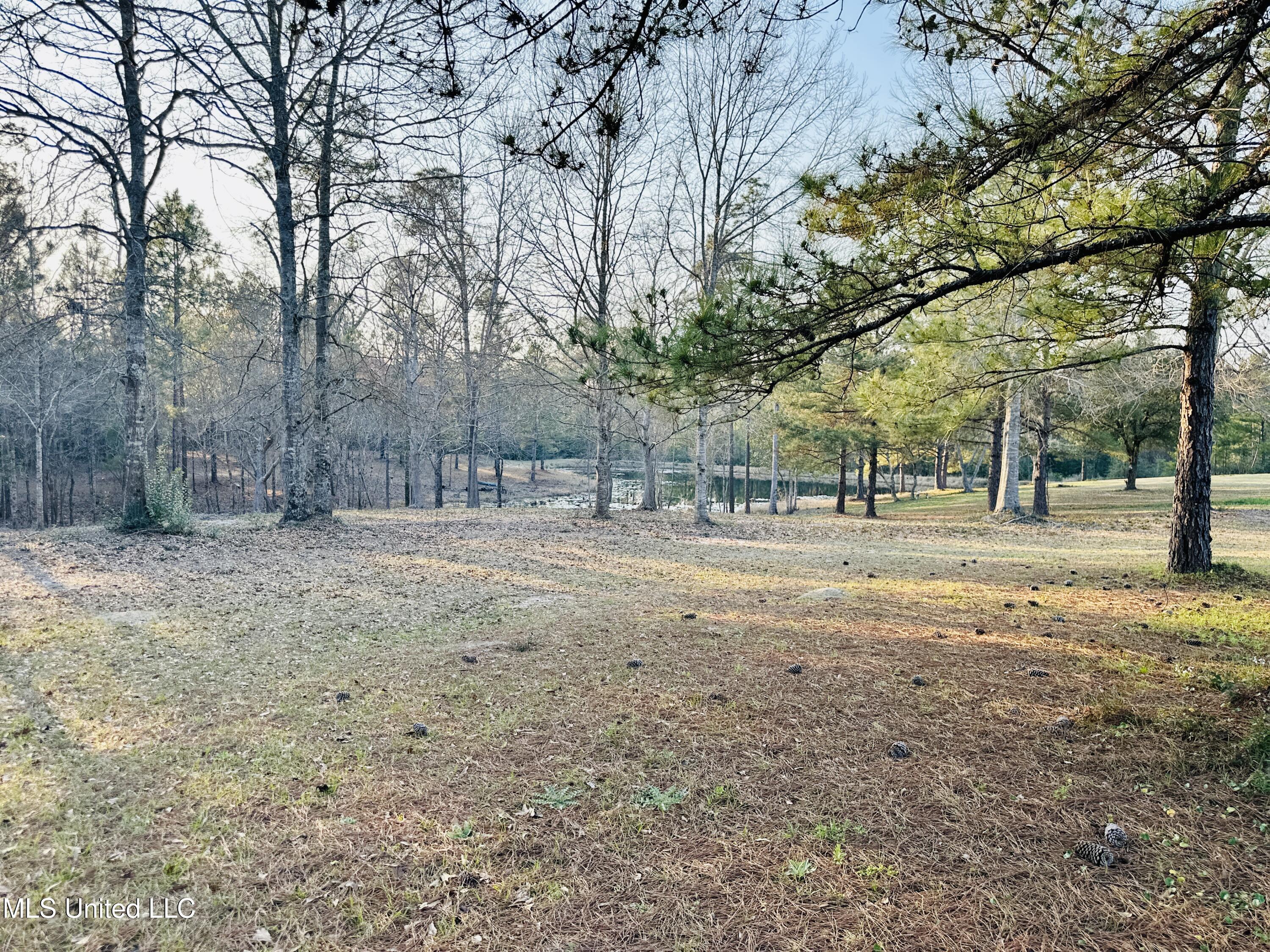 75 Percy O'Neal Road McHenry, MS 39561 - Photo 27 of 41 IMG_3830