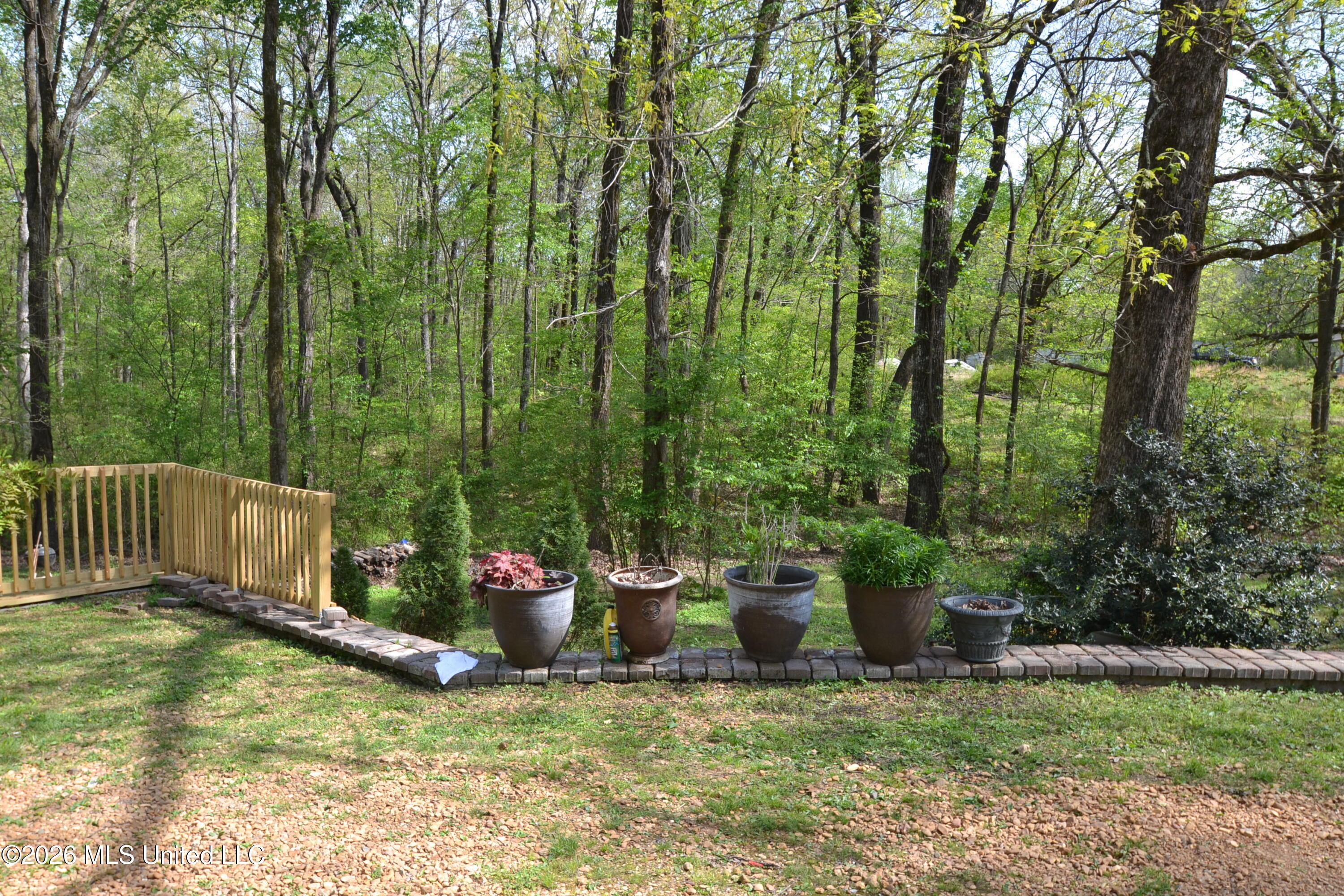 590 Leewood Road Holly Springs, MS 38635 - Photo 19 of 26 Front Yard
