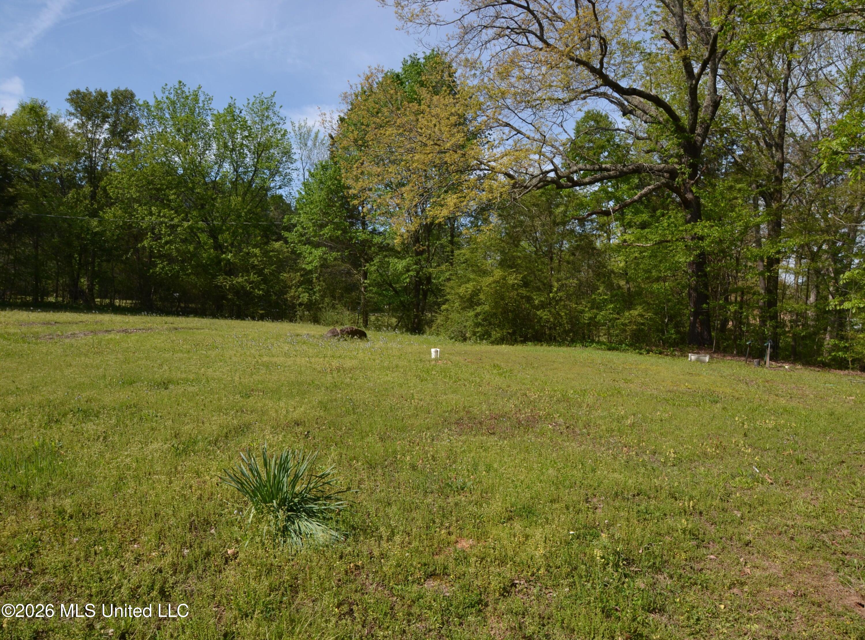 590 Leewood Road Holly Springs, MS 38635 - Photo 20 of 26 Side Yard