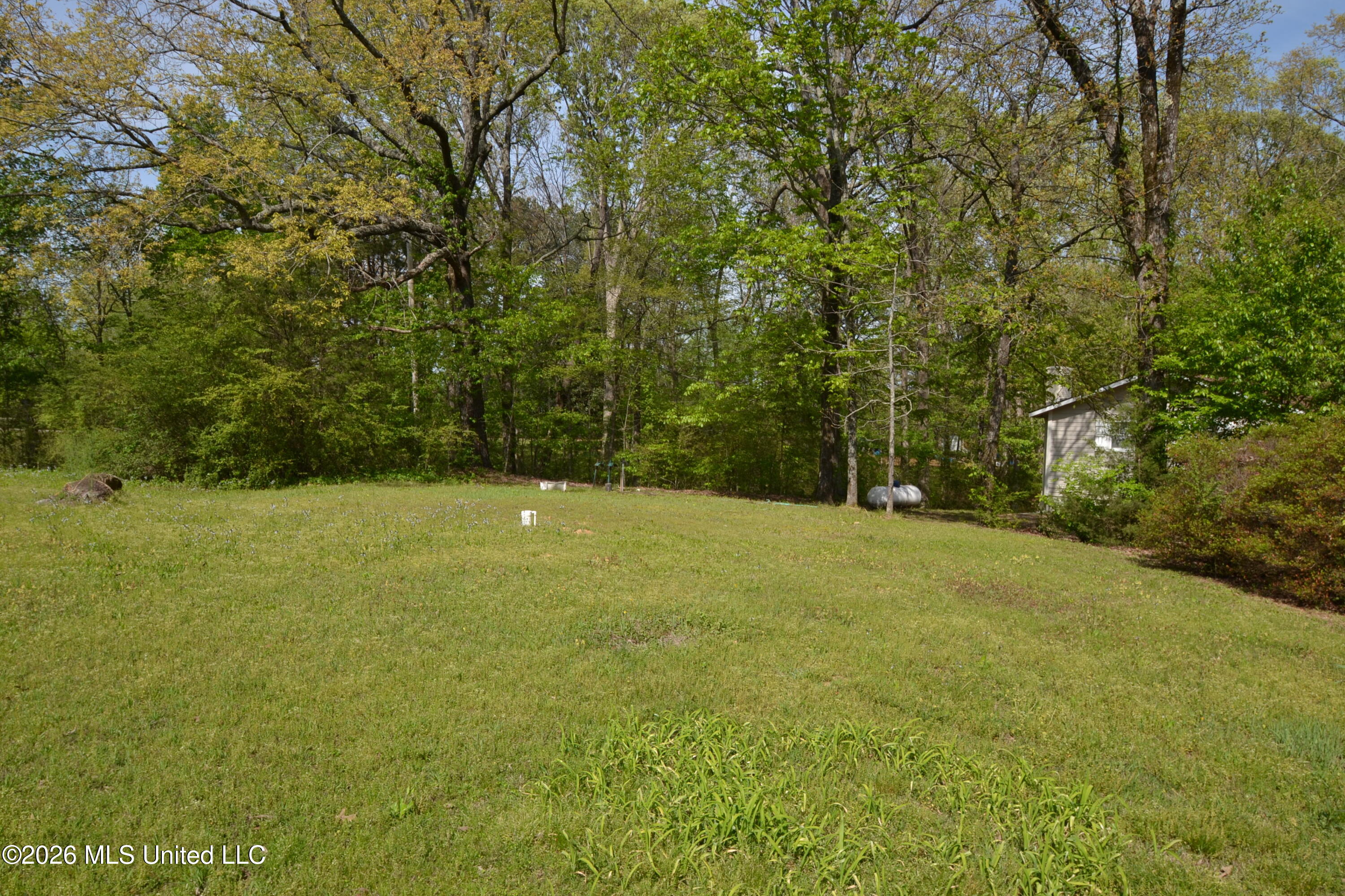 590 Leewood Road Holly Springs, MS 38635 - Photo 23 of 26 Side Yard