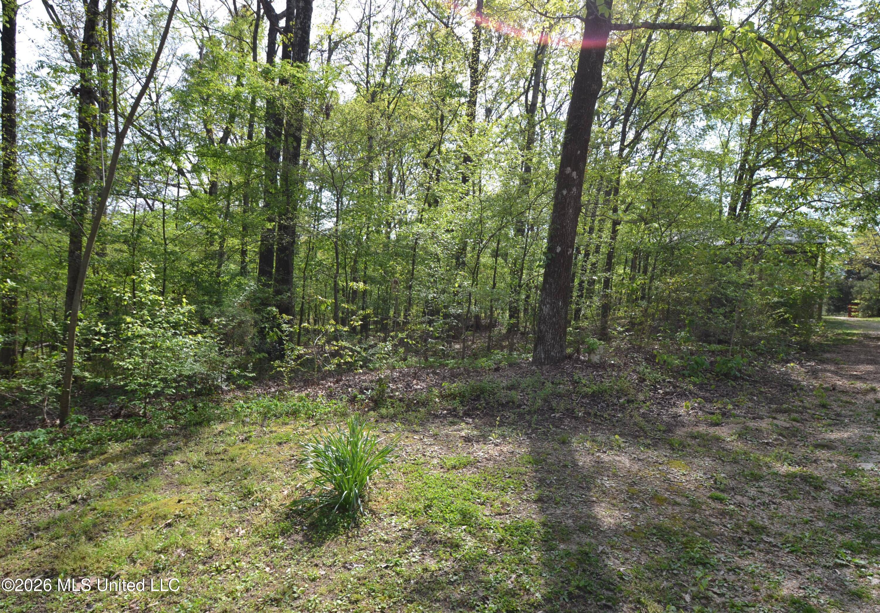 590 Leewood Road Holly Springs, MS 38635 - Photo 24 of 26 Acreage