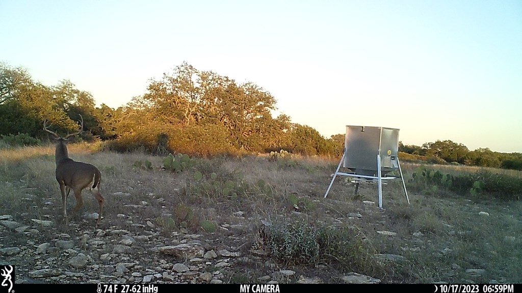 252 Elrincon Road Mountain Home, TX 78058 - Photo 26 of 29