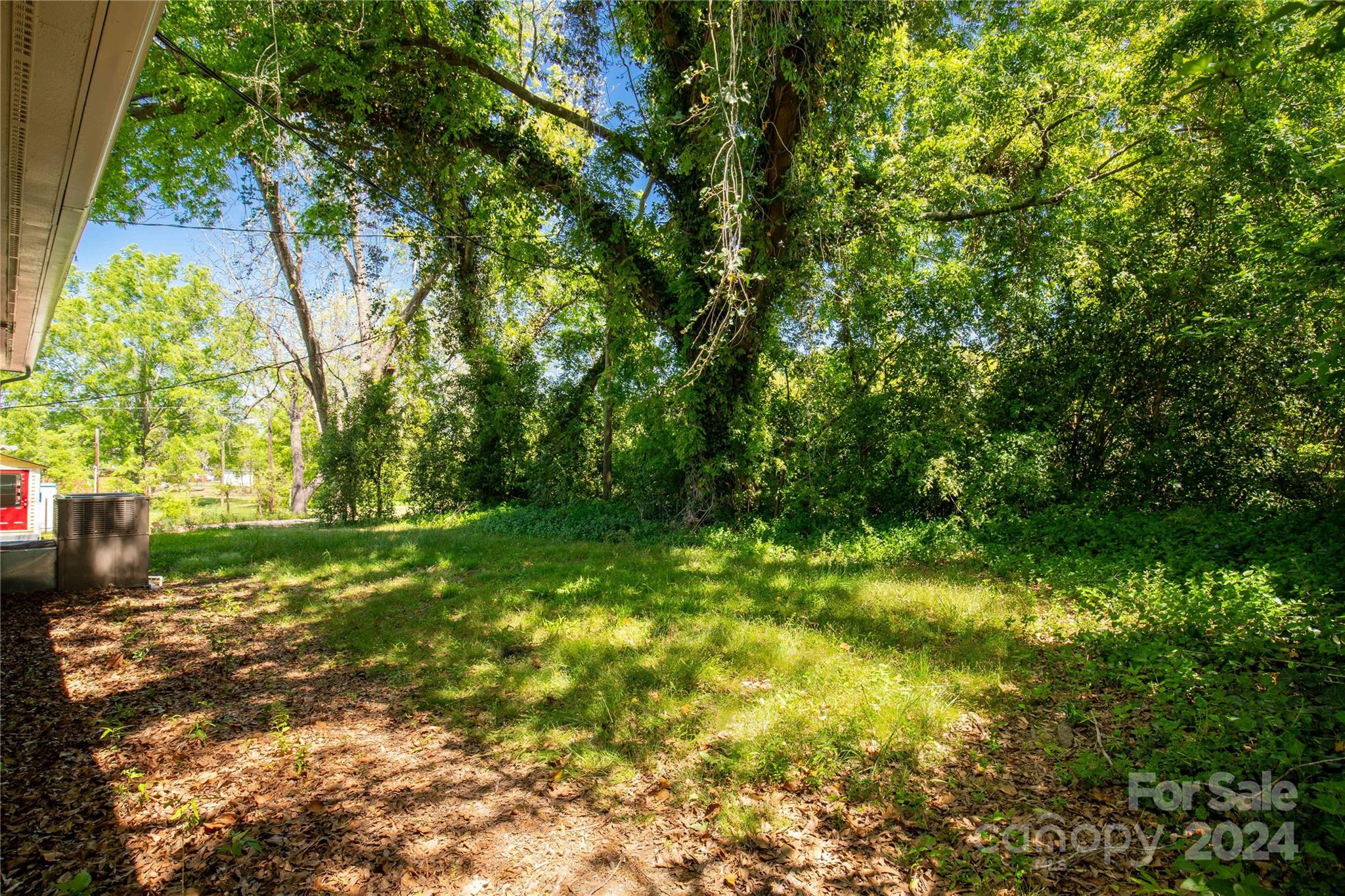 303 North White Street Lancaster, SC 29720 - Photo 23 of 24 a backyard of a house with lots of green space