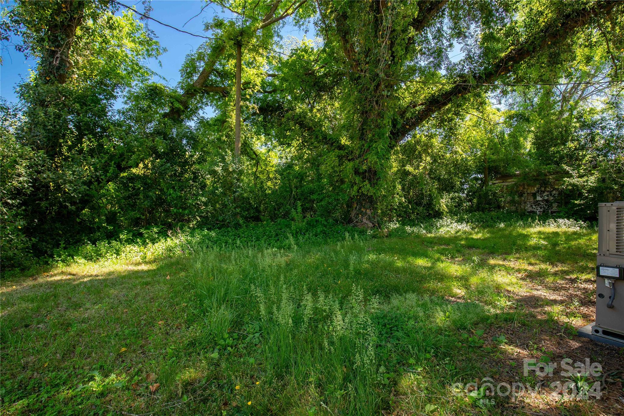 303 North White Street Lancaster, SC 29720 - Photo 24 of 24 a view of a lush green space
