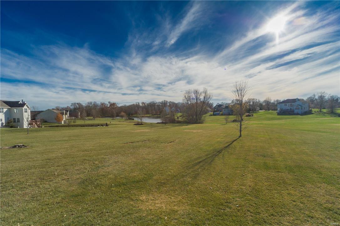 393 Kings Ridge Boulevard O'Fallon, IL 62269 - Photo 43 of 56 Gallery Image 43