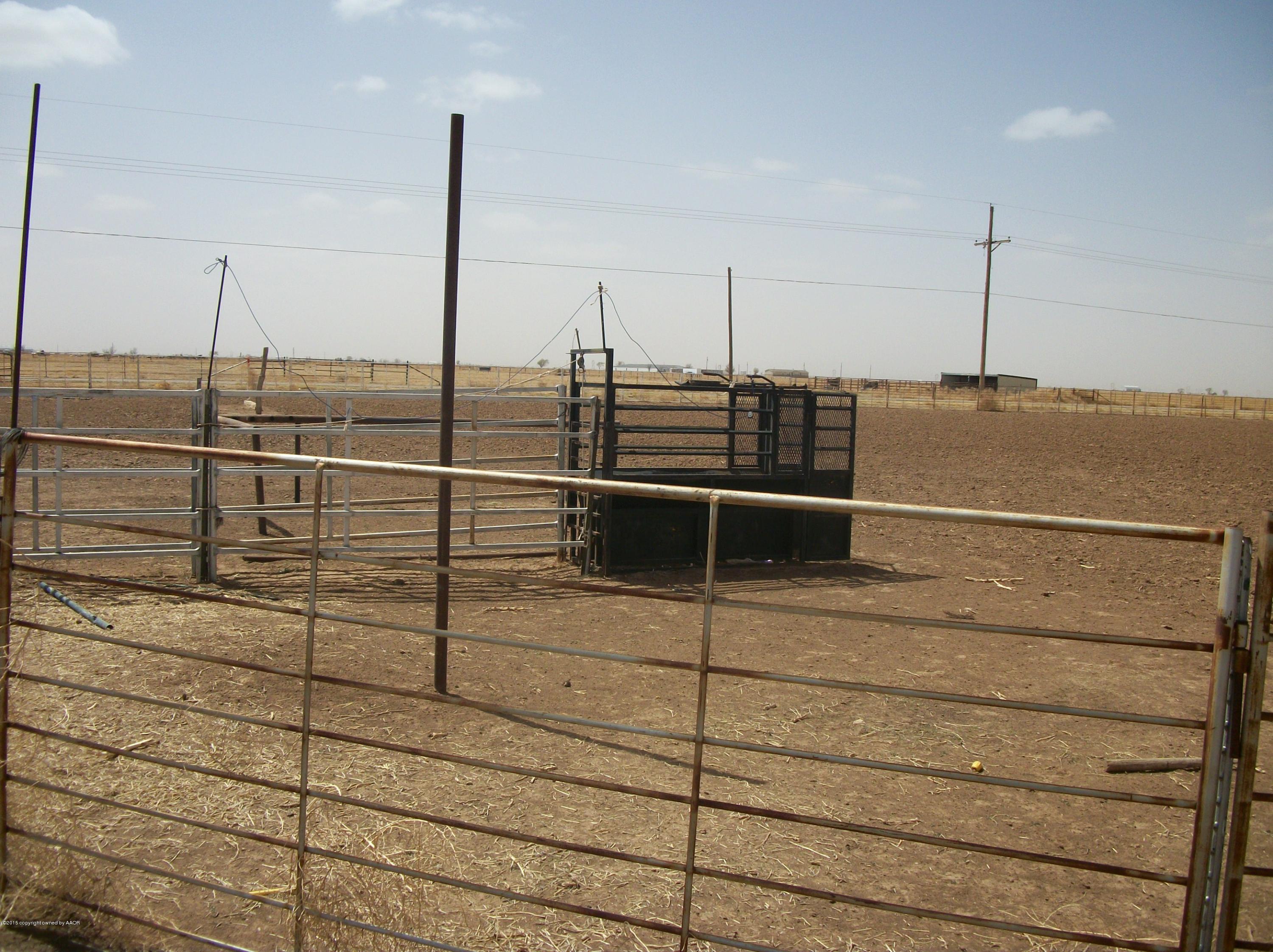 25801 Adkisson Road Umbarger, TX 79015 - Photo 5 of 9 2009-01-01 12.02.07-1
