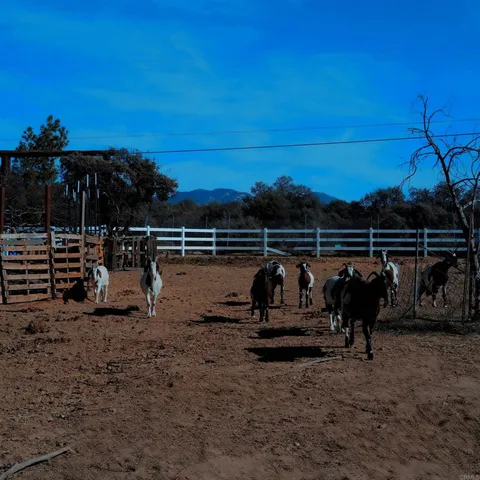 $435,000 | 41945 Apple Road, Anza, CA 92539