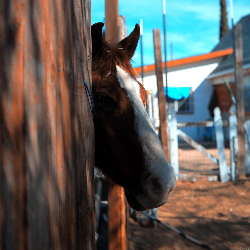 41945 Apple Road Anza, CA 92539 - Photo 2 of 17