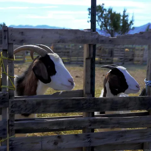 $435,000 | 41945 Apple Road, Anza, CA 92539