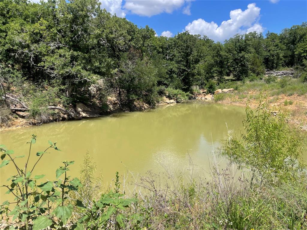 0 Lower Tonk Valley Road Graham, TX 76450 - Photo 26 of 35
