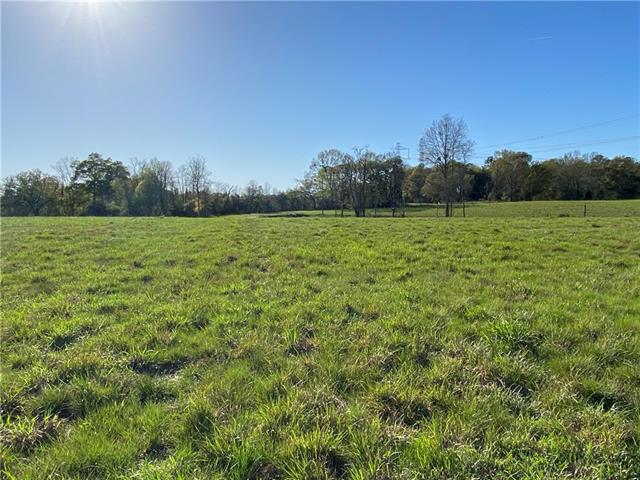 Tbd Ruth Holton Road Amite, LA 70422 - Photo 11 of 34
