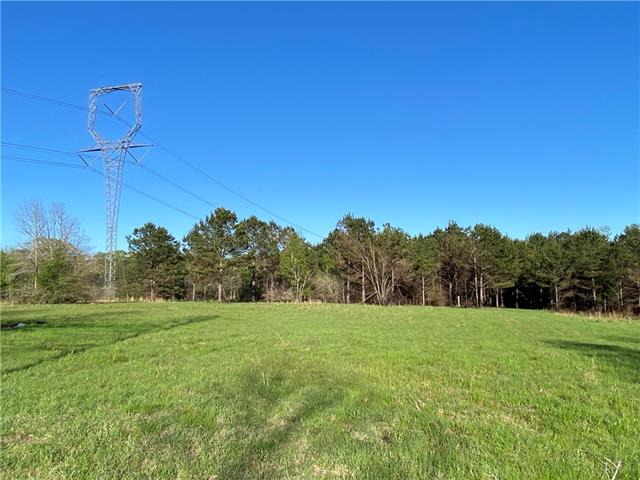 Tbd Ruth Holton Road Amite, LA 70422 - Photo 12 of 34