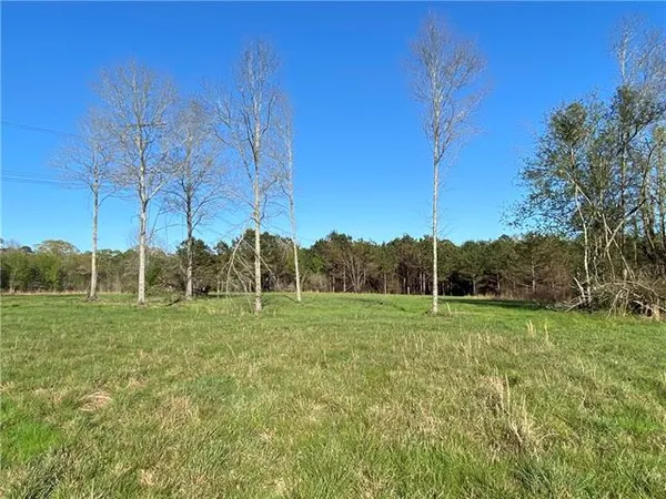 $89,000 | Tbd Ruth Holton Road, Amite, LA 70422