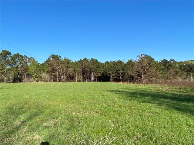 Tbd Ruth Holton Road Amite, LA 70422 - Photo 14 of 34