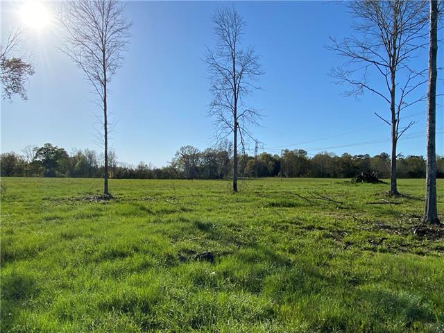 Tbd Ruth Holton Road Amite, LA 70422 - Photo 15 of 34