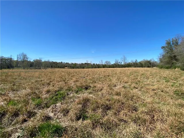 $94,500 | Tbd Ruth Holton Road, Amite, LA 70422