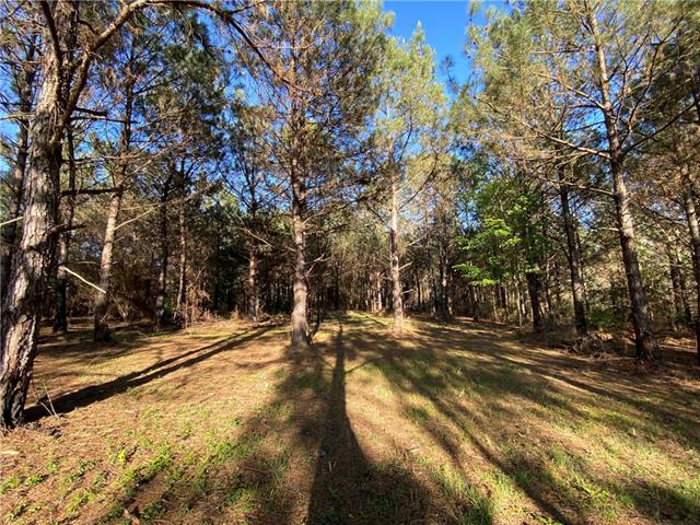Tbd Ruth Holton Road Amite, LA 70422 - Photo 16 of 34