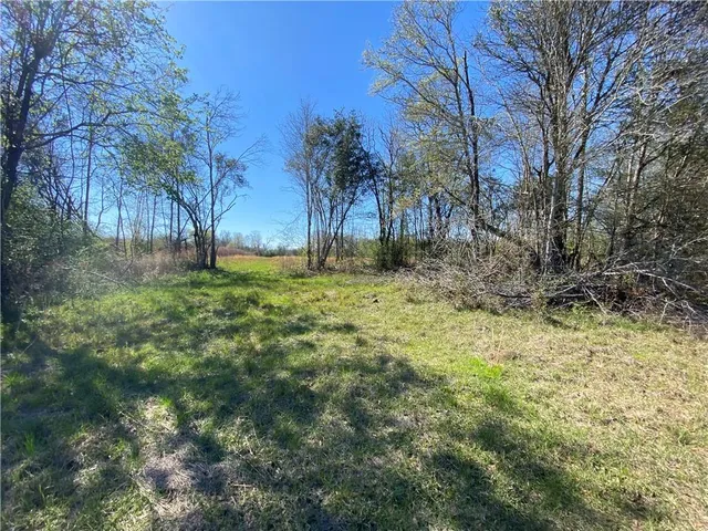 $94,500 | Tbd Ruth Holton Road, Amite, LA 70422