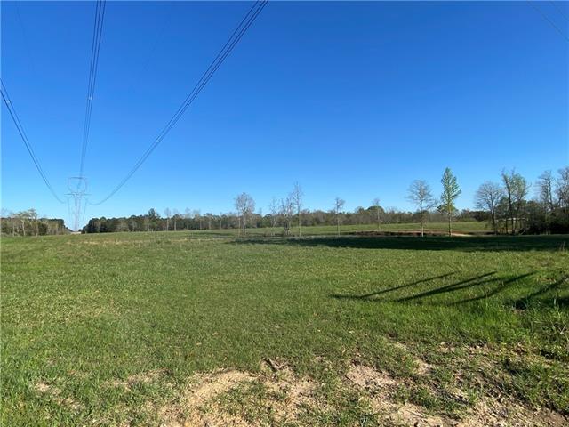 Tbd Ruth Holton Road Amite, LA 70422 - Photo 2 of 34