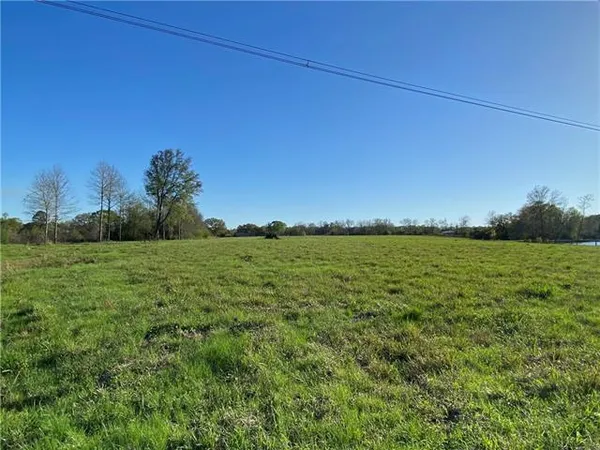 $89,000 | Tbd Ruth Holton Road, Amite, LA 70422
