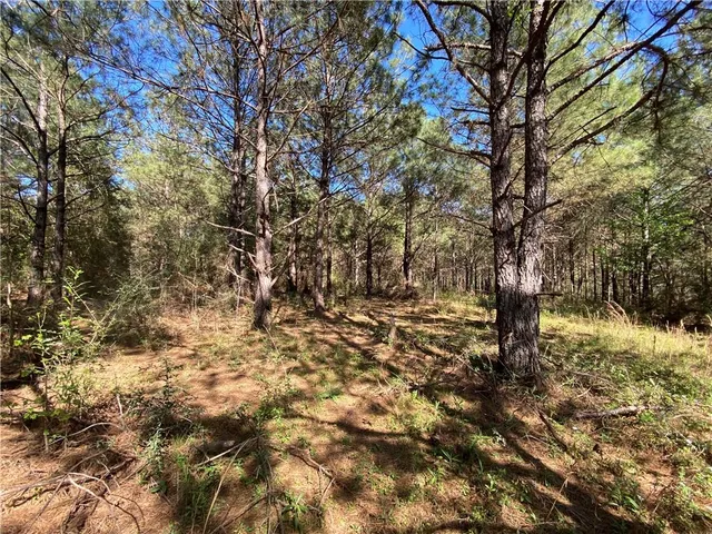 $94,500 | Tbd Ruth Holton Road, Amite, LA 70422