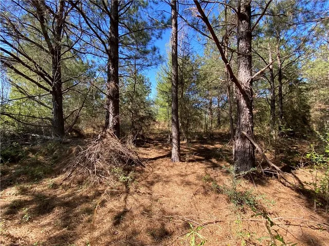 $94,500 | Tbd Ruth Holton Road, Amite, LA 70422