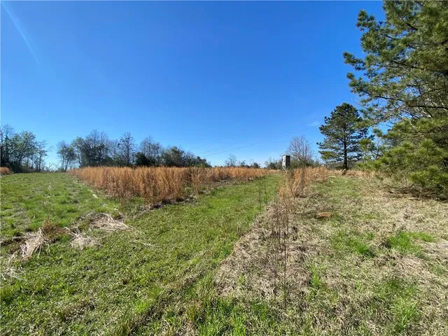 $94,500 | Tbd Ruth Holton Road, Amite, LA 70422