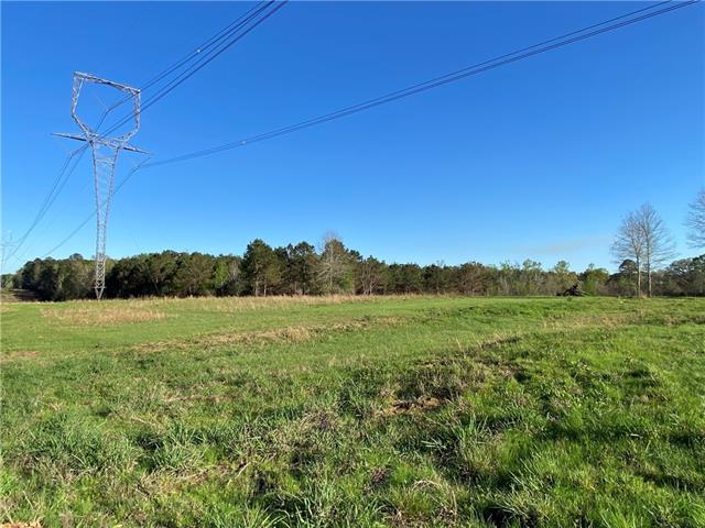 Tbd Ruth Holton Road Amite, LA 70422 - Photo 24 of 34