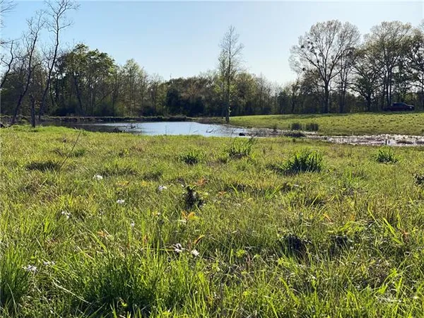 $89,000 | Tbd Ruth Holton Road, Amite, LA 70422