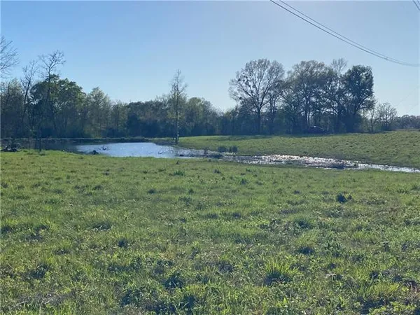 $89,000 | Tbd Ruth Holton Road, Amite, LA 70422