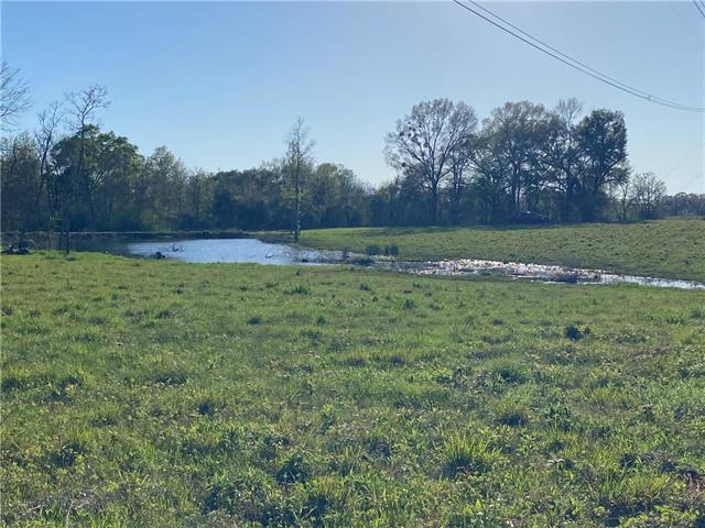 Tbd Ruth Holton Road Amite, LA 70422 - Photo 28 of 34