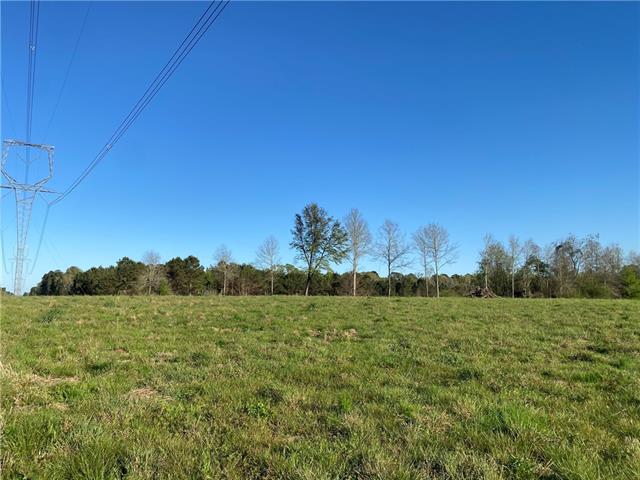 Tbd Ruth Holton Road Amite, LA 70422 - Photo 29 of 34