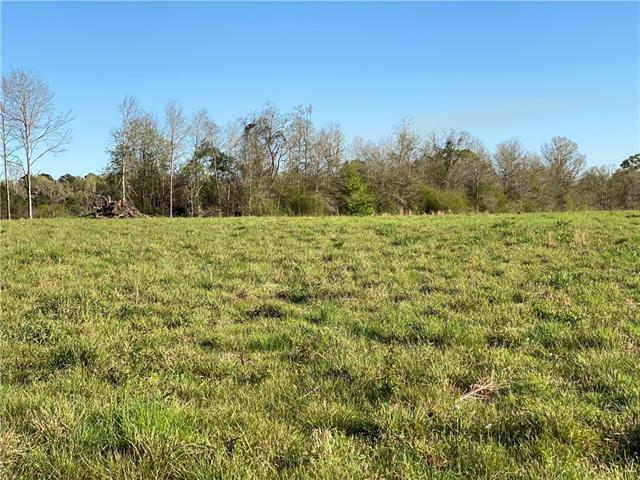 Tbd Ruth Holton Road Amite, LA 70422 - Photo 30 of 34