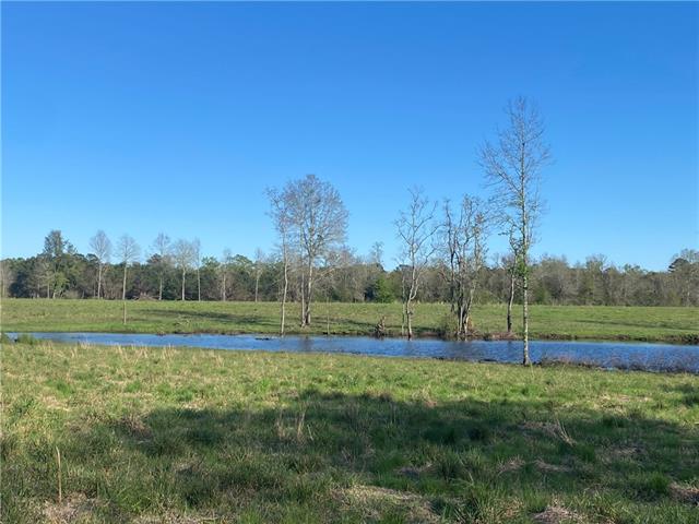 Tbd Ruth Holton Road Amite, LA 70422 - Photo 3 of 34
