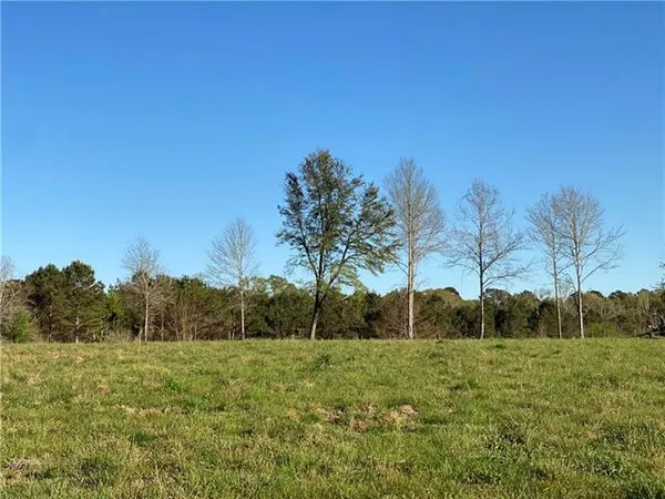 $89,000 | Tbd Ruth Holton Road, Amite, LA 70422
