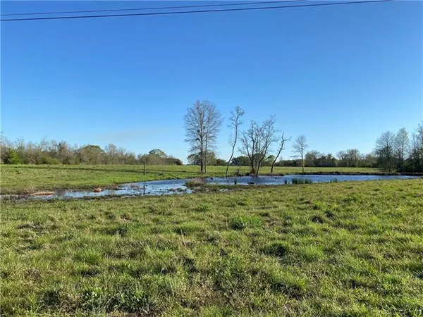 $89,000 | Tbd Ruth Holton Road, Amite, LA 70422