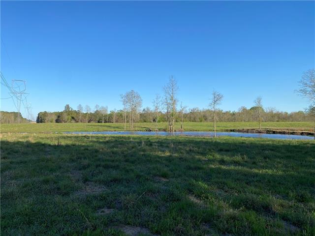 Tbd Ruth Holton Road Amite, LA 70422 - Photo 33 of 34