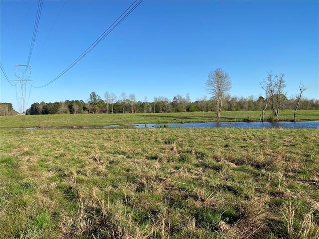 Tbd Ruth Holton Road Amite, LA 70422 - Photo 34 of 34