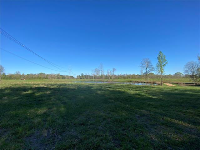 Tbd Ruth Holton Road Amite, LA 70422 - Photo 4 of 34
