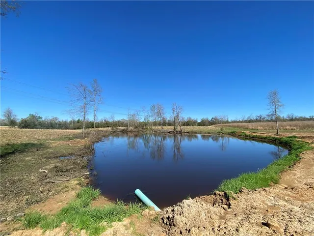 $94,500 | Tbd Ruth Holton Road, Amite, LA 70422
