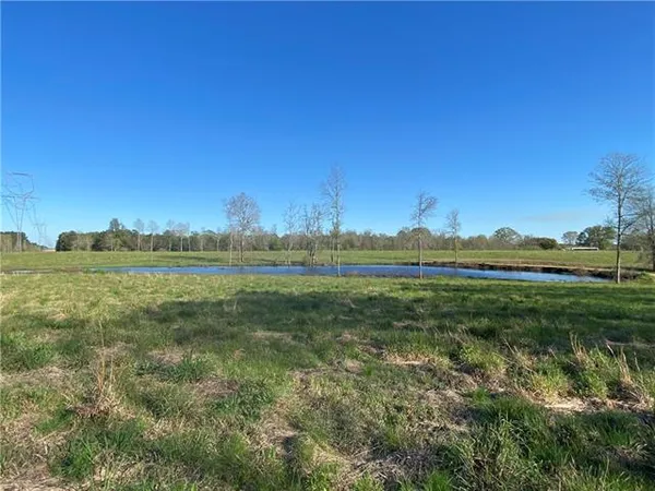 $89,000 | Tbd Ruth Holton Road, Amite, LA 70422
