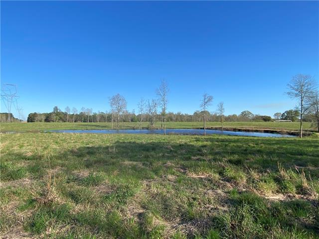 Tbd Ruth Holton Road Amite, LA 70422 - Photo 5 of 34