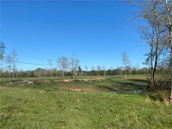 $89,000 | Tbd Ruth Holton Road, Amite, LA 70422