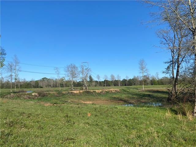 Tbd Ruth Holton Road Amite, LA 70422 - Photo 6 of 34